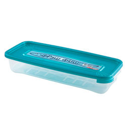 Контейнер для продуктов пластмассовый "Фрэш Фиш" 0,6л, 24х10х4,5см, подходит для СВЧ (Россия)