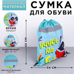 Сумка для обуви со светоотражающим элементом Учусь на 5!, размер 43х34 см