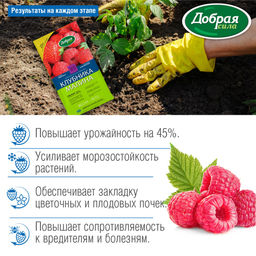 Компл. мин. удобр. "Добрая сила" Клубника-Малина, пак.0,9кг