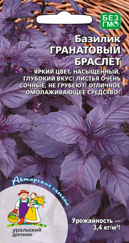 Базилик ГРАНАТОВЫЙ БРАСЛЕТ  Яркий цвет, насыщенный, глубокий вкус! Листья очень сочные, не грубеют! Отличное омолаживающее средство!