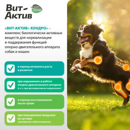 Витамин Вит-Актив СК-Х Хондро д/собак и кошек 90 таб., 6 уп.блок, Фармакс  фото 2