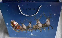 КПБ Candies Merry Christmas CANMC21