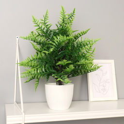 Искусственный цветок в горшке «Морковник», 9×30 см