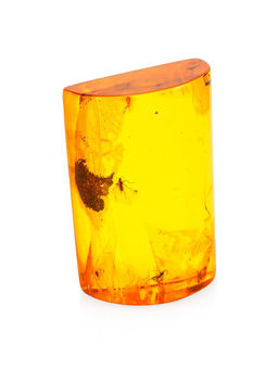 Сувенир из натурального янтаря Инклюзы