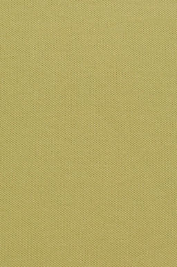 Kad_n Ye_il Polo Yaka Basic Ti__rt - U.s. polo assn фото 2