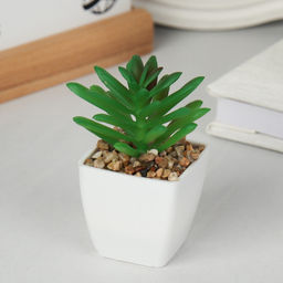 Цветочная композиция Кактус / WER-19 /уп 12/192/ микс - Галеонтрейд фото 18