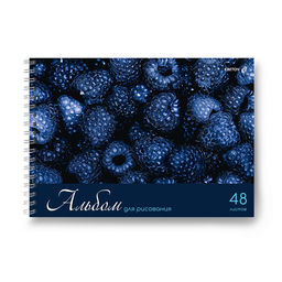 Светоч А234 Альбом для рисования, 100 г/м2 A4 29.5 х 21 см 5 шт. на гребне 48 л. 01622 Ярко - синий мир