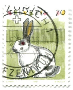 Марка Кролик 1991 год Швейцария