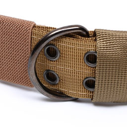 Ошейник с мягкой подкладкой, 75 х 4 см, ОШ 51-61 см, песочный - Пижон фото 4