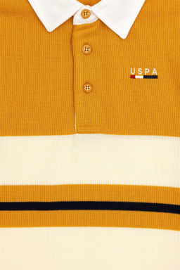 U. S. Polo Assn / Толстовка горчичного цвета для мальчика - U.s. polo assn фото 3