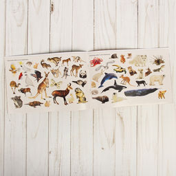 100 наклеек Животные со всего света, 12 стр. - Буква-ленд фото 2