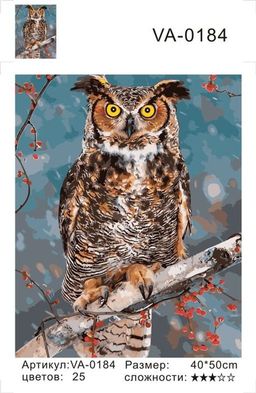 Филин зимой - Colibri фото 3