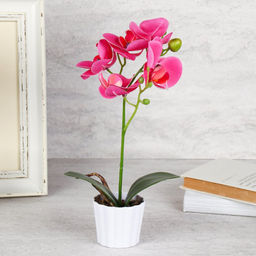 Цветочная композиция Орхидея 30 см / LM-790 /уп 96/ - Галеонтрейд фото 2