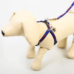 Комплект Super DOG, шлейка 26-39 см, поводок 120х1 см, медальон - Пушистое счастье фото 4