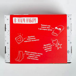 Набор подарочный новогодний «Этель»: плед, носки, 2 игрушки, открытка