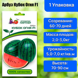 Арбуз Кубок Огня - Партнер фото 7