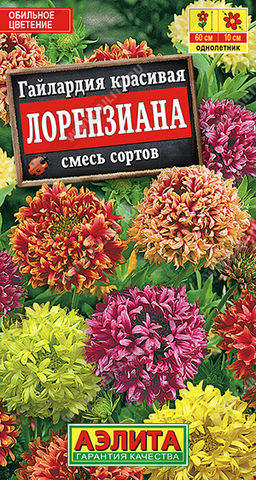 Гайлардия Лорензиана, смесь сортов