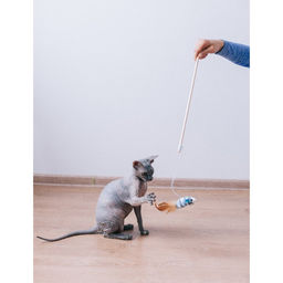 Дразнилка с махровой мышкой (7 см) на деревянной палочке, 40 см, микс цветов - Пижон фото 6