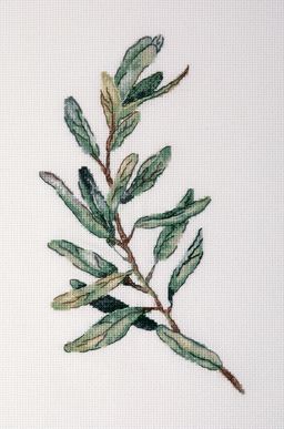 Набор для вышивания PANNA C-7300 Веточка оливы 21 х 30 см