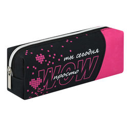 Пенал школьный Феникс+, арт.71943/ 24 ФРАЗЫ С ХАРАКТЕРОМ (без наполнения, 19.5х7х5.5 см, полиэстер,