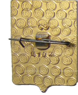 Значок Владимир