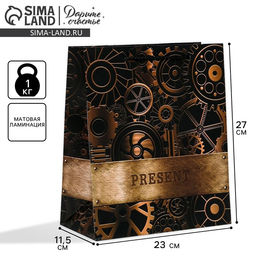 Цена за 2 шт. Пакет подарочный ламинированный, упаковка, Steel, ML 23 х 27 х 11.5 см