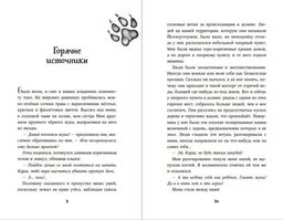 Тайна Холли (#3)