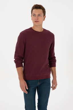 Erkek Regular Fit Bisiklet Yaka Bordo Sweatshirt - U.s. polo assn фото 3