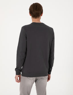 Antrasit 2 _plik Regular Fit Bisiklet Yaka Basic Sweatshirt - Pierre cardin фото 5