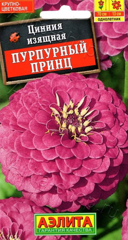 Цинния Пурпурный принц 0,3г (Аэлита)