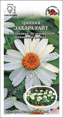 Цинния Захара Уайт 5шт. (Золотая сотка Алтая)