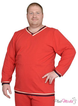 Толстовка Модель №733 размеры 44-84 - Plusmoda фото 2