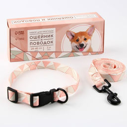 Набор Ромбы, застёжка - фастекс, поводок 2 м и ошейник 28-46 см