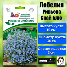 Лобелия каскадная Ривьера Скай Блю - Партнер фото 2