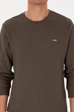 Erkek Bisiklet Yaka Regular Fit Petek Dokulu Vizon Sweatshirt - U.s. polo assn фото 6