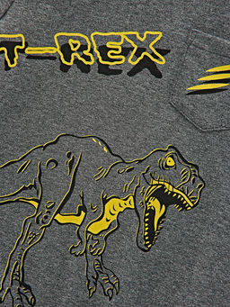 Футболка с принтом UD 4672 графит меланж - Mini maxi фото 6