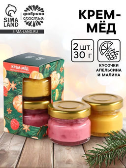 Крем-мёд новогодний, с кусочками сублимированного апельсина, малины, набор 2 шт. ? 30 г