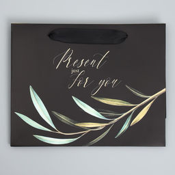 Цена за 2 шт. Пакет подарочный ламинированный, упаковка, «Present just for you», 22 х 17.5 х 8 см