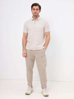 Джемпер мужской с воротником поло короткий рукав GREG G144-KD1246T-UT24 (беж полоска)  фото 7