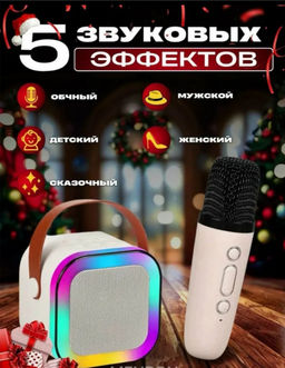 Музыкальная беспроводная колонка с двумя микрофонами (3639)