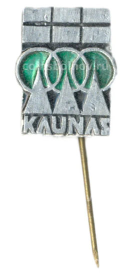 Значок Каунас