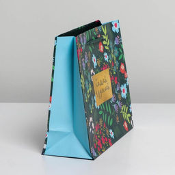 Цена за 2 шт. Пакет подарочный ламинированный, упаковка, Present for you, MS 23×18×8 см
