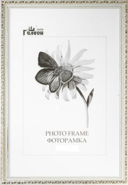 Фоторамка 30x40 / 10057-4 /