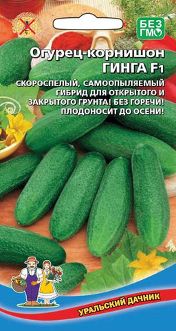 Огурец ГИНГА F1  Скороспелый, самоопыляемый гибрид! Без горечи! Плодоносит до заморозков!