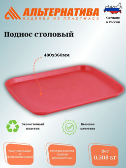 Поднос столовый 480*360 пластмассовый М211