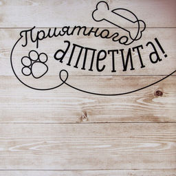 Цена за 2 шт. Коврик под миску нескользящий «Приятного аппетита», 43×28 см