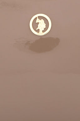 Женская сумка из лакированной кожи норки - U.s. polo assn фото 7