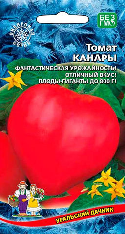 Томат КАНАРЫ Сибирская селекция, отличный вкус, плоды гиганты до 800 г! Фантастическая урожайность!