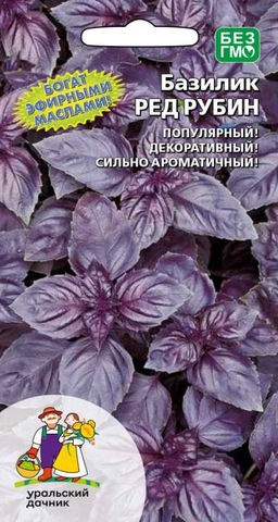 Базилик РУБИН  С большим количеством эфирных масел! Популярный! Декоративный!