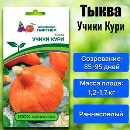 Тыква Учики Кури - Партнер фото 7